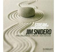 Jim Sneidero - Stream Of Consciousness