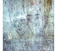 Jim White - DRILL A HOLE IN THAT SUBSTRATE AND TELL ME WHAT YOU SEE [Vinilo]