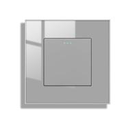 JIMEIDA Interruptor de luz gris empotrable 1 vía 1 interruptor de pared con panel de cristal, interruptor basculante de cristal 86*86MM, 10 Amp, 250 V