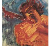 Jimi Hendrix - The Jimi Hendrix Concerts by Jimi Hendrix Experience Jimi Hendrix, The (1988-01-01)