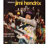 Jimi Hendrix - Tribute To Jimi Hendrix