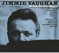 Jimmie Vaughan - Do You Get The Blues