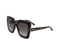 Jimmy Choo Gafas de Sol AURI/G/S Havana 53/22/145 Mujeres