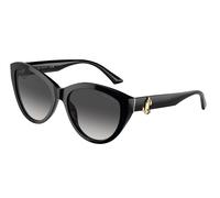 Jimmy Choo JC5007 50008G 55