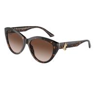 Jimmy Choo JC5007 500213 55