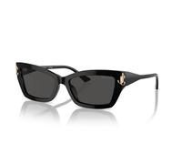 Jimmy Choo JC5011U 500087 55