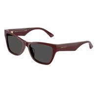 Jimmy Choo JC5024HU 505787 55