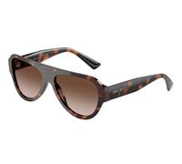 Jimmy Choo JC5027 C55 500213 Concha