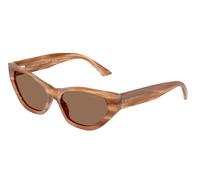 Jimmy Choo Mujer JC5022B 505573 Gafas de sol Acetato Marrón Marrón Cat Eye Normal