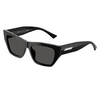 Jimmy Choo Mujer Jimmy Choo JC5035B 500087 Gafas de sol Acetato Negro Gris Cat Eye Normal