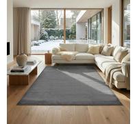 Jimri Alfombra mullida de Pelo Corto de para el hogar, Oficina, Cocina, Entrada, Pasillo, Sala de Estar, Lavable a máquina, Antideslizante, Lavable - Antracita, 240 x 340 cm