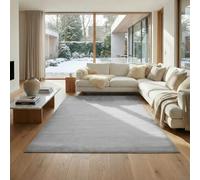 Jimri Alfombra mullida de Pelo Corto de para el hogar, Oficina, Cocina, Entrada, Pasillo, Sala de Estar, Lavable a máquina, Antideslizante, Lavable - Plateado, 240 x 340 cm