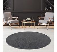 Jimri Fashion4Home Alfombra de Pelo Corto Liso para Sala de Estar, habitación de los niños, Dormitorio, Estudio, Oficina, Pasillo y Cocina, Color Gris, tamaño: 160 cm, Redonda
