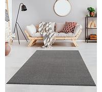 Jimri Fashion4Home Alfombra de Pelo Corto Liso para salón, habitación de los niños, Dormitorio, Estudio, Oficina, Pasillo y Cocina, Color: Gris Claro, tamaño: 200 x 290 cm