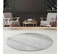 Jimri Fashion4Home Alfombra Lisa Monocolor para Salón, Dormitorio, Estudio, Despacho, Pasillo y Cocina - Pelo Corto Plateado, 120x120 cm