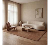 Jimri Fashion4Home Alfombra Lisa Monocolor para Salón, Dormitorio, Estudio, Despacho, Pasillo y Cocina - Pelo Corto Marrón, 240x340 cm