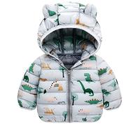 JinBei Abrigo Invierno para Niño, Chaqueta Plumas con Capucha, Dinosaurio Gris Cazadora Chandal Acolchado Ligero Traje CáLido Grueso Otoño Manga Larga Nieve Chaquetas Niños 4-5 Años