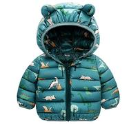 JinBei Chaqueta Plumas para Niños, Dinosaurio Abrigo Invierno con Capucha, Cazadora Chandal Acolchado Ligero Traje CáLido Grueso Otoño Verde Manga Larga Nieve Chaquetas Niño 3-4 Años