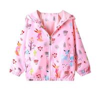 JinBei Niñas Chaqueta Cazadora Niña Capucha Casual Rosa Dibujos Animados Primavera Y Otoño Abrigo Fino Manga Larga Cortavientos Chica Corto Cremallera Protección Solar 3-4 Años