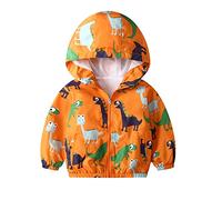JinBei Niños Cazadora Niño Casual Chaqueta Primavera Y Otoño Abrigo Estampado de Dinosaurio Corto Chaqueta A Prueba De Viento con Cremallera Amarillo 3-4 Años
