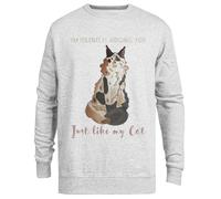 Jinbetee I’M Judging You - Calico Maine Coon Sudadera Gris Unisex con Cuello Redondo Grey Crewneck Unisex Jumper