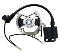 JINFOLI Bobina de encendido de 50 para cc y rotor del estator del magneto, para piezas eléctricas de motocicletas de motocross y pit bike todoterreno 50 Sx, para diversos modelos Bobina de