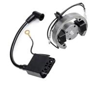 JINFOLI Conjunto de bobina de encendido, estator y rotor del magneto, para motocicleta Pit Bike de 50 para cc, para 50 Sx eléctrica Bobina de encendido para moto (1 SET) unidad de (1 (1 SET)