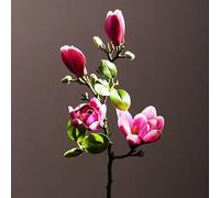 Jingo 4 cabezmagnolia Artificial Flor Ramo de Flores Magnolia de una Sola Rama Mesa de la Sala de Estar imitación de Flores (Flor púrpura)