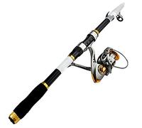 JINGYAN Cañas de Pescar 2.1m .4m .7m 3.0m .6m Carbon Fiber Telescopic Fishing Rod Portable Spinning and Reels Multifunction Set(Schwarz,2.7M)
