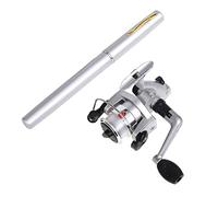 JINGYAN Cañas de Pescar Fishing Rod Telescopic Pocket Fish Pen Aluminum Alloy and Reel Wheel Tackles Small Sea Pole Accessories(Light Grey)