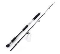 JINGYAN Cañas de Pescar Quality Boat Fishing Rod Big Drag Power Ocean