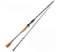 JINGYAN Cañas de Pescar Squid Fishing Rod Carbon Spinning Lure 50-180g 2 Sections Titanium Tip Sea Boat Casting(Baitcasting,2.1M)