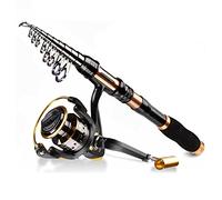 JINGYAN Cañas de Pescar Telescopic Fishing Rod and Spinning Reel Combo Set with Line Lures Kit Accessories Suitable for Men Women Beginners(1.8M)