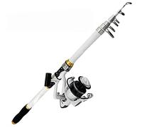JINGYAN Cañas de Pescar Telescopic Fishing Rod Spinning Ultralight Carbon Carp Casting Portable Tackle and Reel(3.0m)