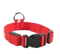 JINGYAN Collares básicos para Perros USB Rechargeable LED Dog Collar Safety Night Light Fluorescent Pet Supplies