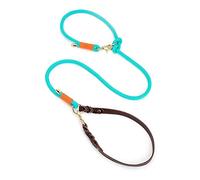 JINGYAN Correa para Perros Nylon Dog Leash, Adjustable Multifunctional Leash/P Leash with Leather Handle Strong and Durable for Dog Walking and Training