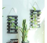 JINGYAN Jarrones Decorativos Glass and Pot For Hydroponics Table Pot, Bonsai Plant, Flower Pot, Hanging Planter For Home(02)