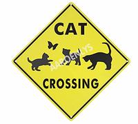 JINKAIRUI Letrero de metal con texto en inglés "Cat Crossing Xing Farm Organic Country Yard Sign" de aluminio para interiores y exteriores, decoración de pared, 30,5 x 30,5 cm