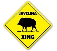 JINKAIRUI - Letrero de metal cuadrado de hojalata con javelina cruzando pecaría, para letrero para el hogar, oficina, bar, decoración de pared para interiores y exteriores, letrero cuadrado de 8 x 8