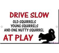 JINKAIRUI Placa de advertencia de calle con texto en inglés "Drive Slow Old Young Nutty Squirrels at Play", letrero de metal para decoración de pared, señales de advertencia de seguridad para
