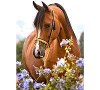 Jinmer 5D Diamond Painting Kit Completo,Flores Caballo Animal DIY Kit de Pintura Diamante para Niños Adultos,Arte de Cristal Bordado Punto de Cruz para Decoración de Pared Hogar,Round Drill,50x70cm