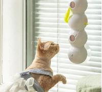 JINSBON Caterpillar-Smart Cat Toy, Caterpillar-Cat Toys Interactivo, Caterpillar-Smart Cat Toy Engaging Play With Realistic Motion, For Play And Exercise