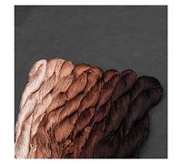 JINSUO NWXZU 20m / PCS Hilo de Seda 100% para Bordado - Spiraea Pequeños Palitos de Bordado de Mano y Cross Stitch (Color: 04)