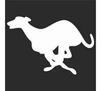 JINTORA Etiqueta para el Coche - Etiqueta engomada - Galgo - 148x99 mm - JDM - Die Cut - Coche - Ventana - Laptop - Tuning - Blanco