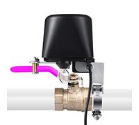 Jinvoo SM-AW713 - Válvula de control WiFi para agua y gas, funciona con Amazon Alexa y Google Assistant, mando a distancia APP, temporizador, compatible con iOS/Android