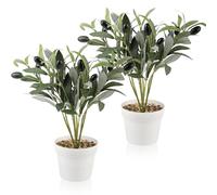 JINXIAN 2 Piezas Tallos De Rama De Olivo Artificial Conjunto 28 cm Ramas De Olivo Artificiales con Frutos y Maceta Blanca Plantas Artificiales Decorativas para Vegetación para Bodas Decoración