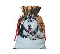 JIPOFD Husky Dog - Bolsa de cordón de Navidad robusta de 4.7 x 6.9 pulgadas, adecuada para regalos de fiesta y embalaje de regalo, 1 unidad