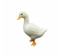 JISADER Figura Educativa de Figura de Aves de PVC con Postura Natural Proyectos de Ciencias y Enseñanza Adecuada para Uso en Casa y Actividades Escolares, Pato