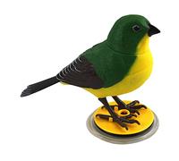 JISADER Loro de Juguete Interactivo con Sonido, Figura de Pájaro Que Y Habla, Material PP, Apto para Niños, C