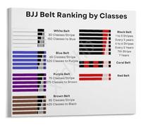 Jiu Jitsu Poster Belt Progression